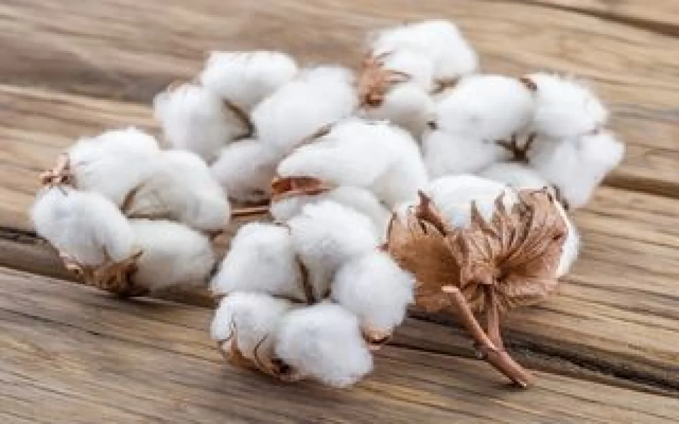 Industrie textile