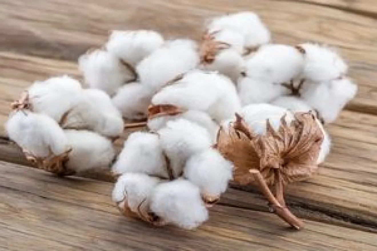 Industrie textile