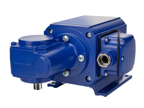 Getriebe_Getriebemotor 
