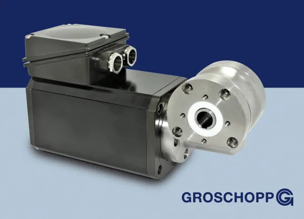 Induktionsmotor Sila mit Edelstahlgetriebe Groschopp